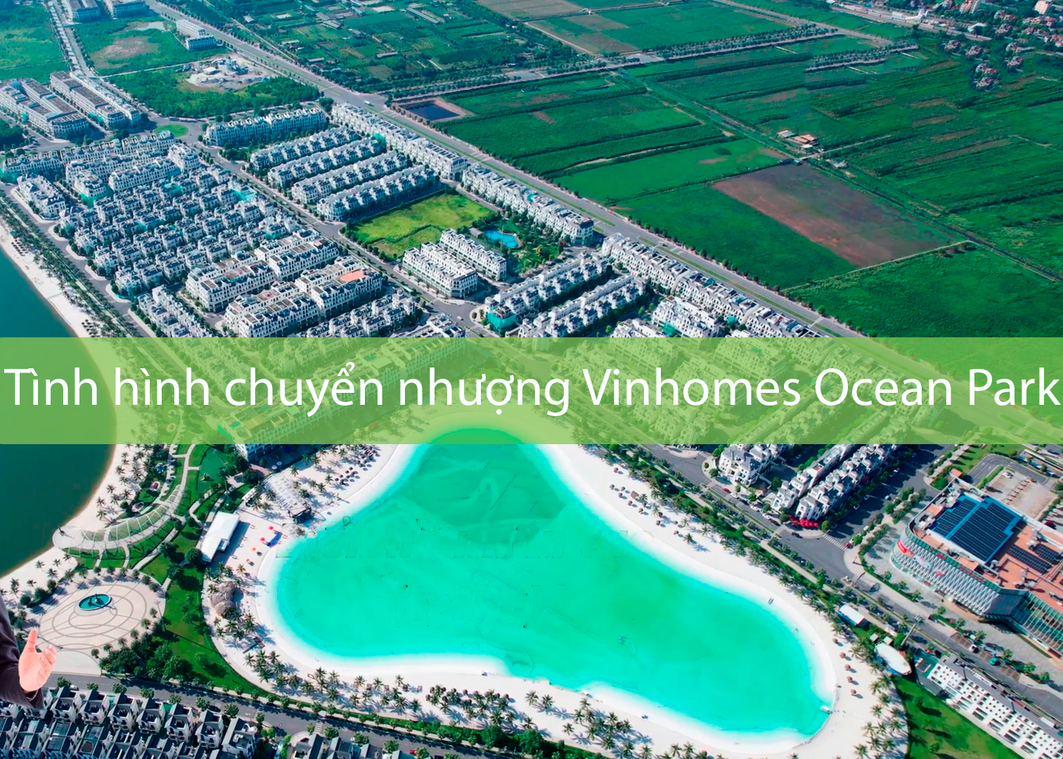 Tình Hình Chuyển Nhượng Vinhomes Ocean Park- Thông Tin Cập Nhật