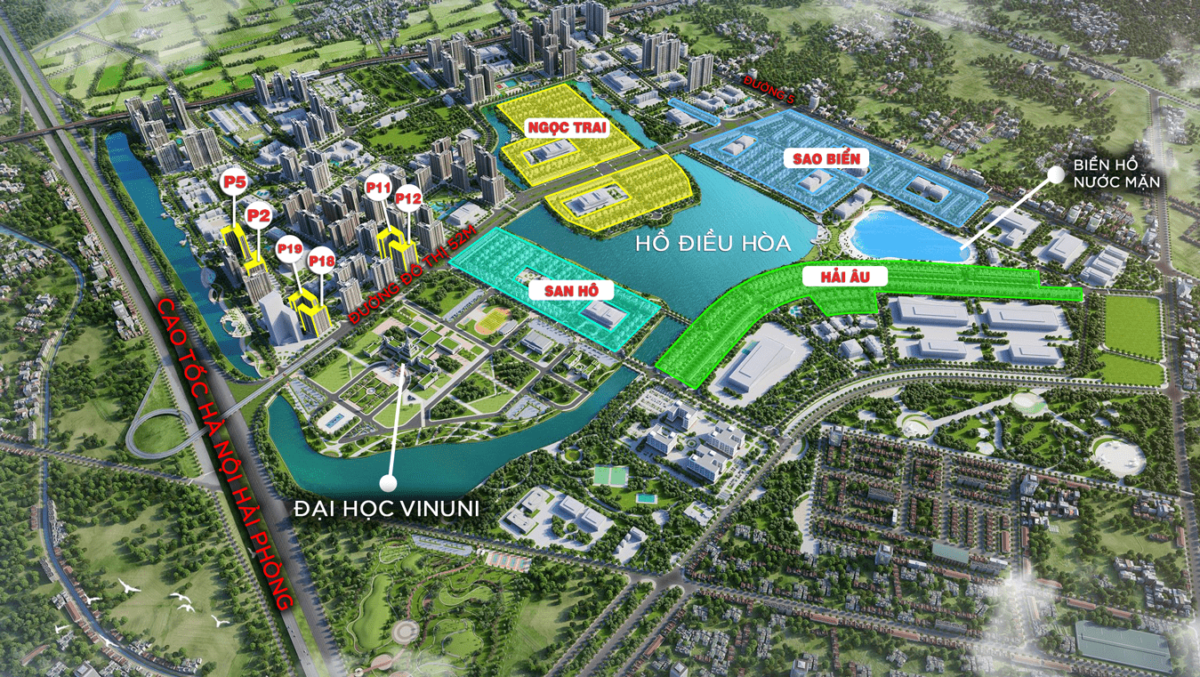 Tư vấn cho thuê phân khu San Hô Vinhomes Ocean Park